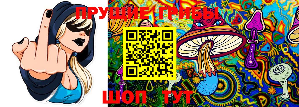 Псилоцибиновые грибы Magic Shrooms Ногинск