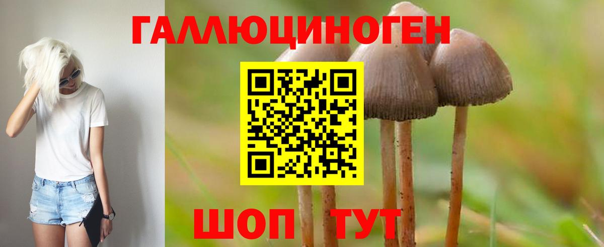 Галлюциногенные грибы прущие грибы  Вход с VPN  Ногинск 